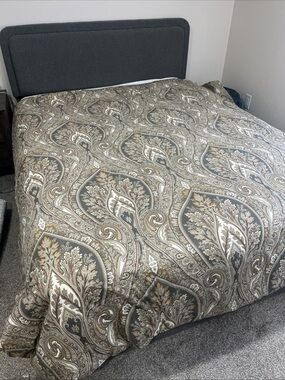 Rare-Pottery Barn Duvet and 2 Standard Shams-Caesarea Paisley